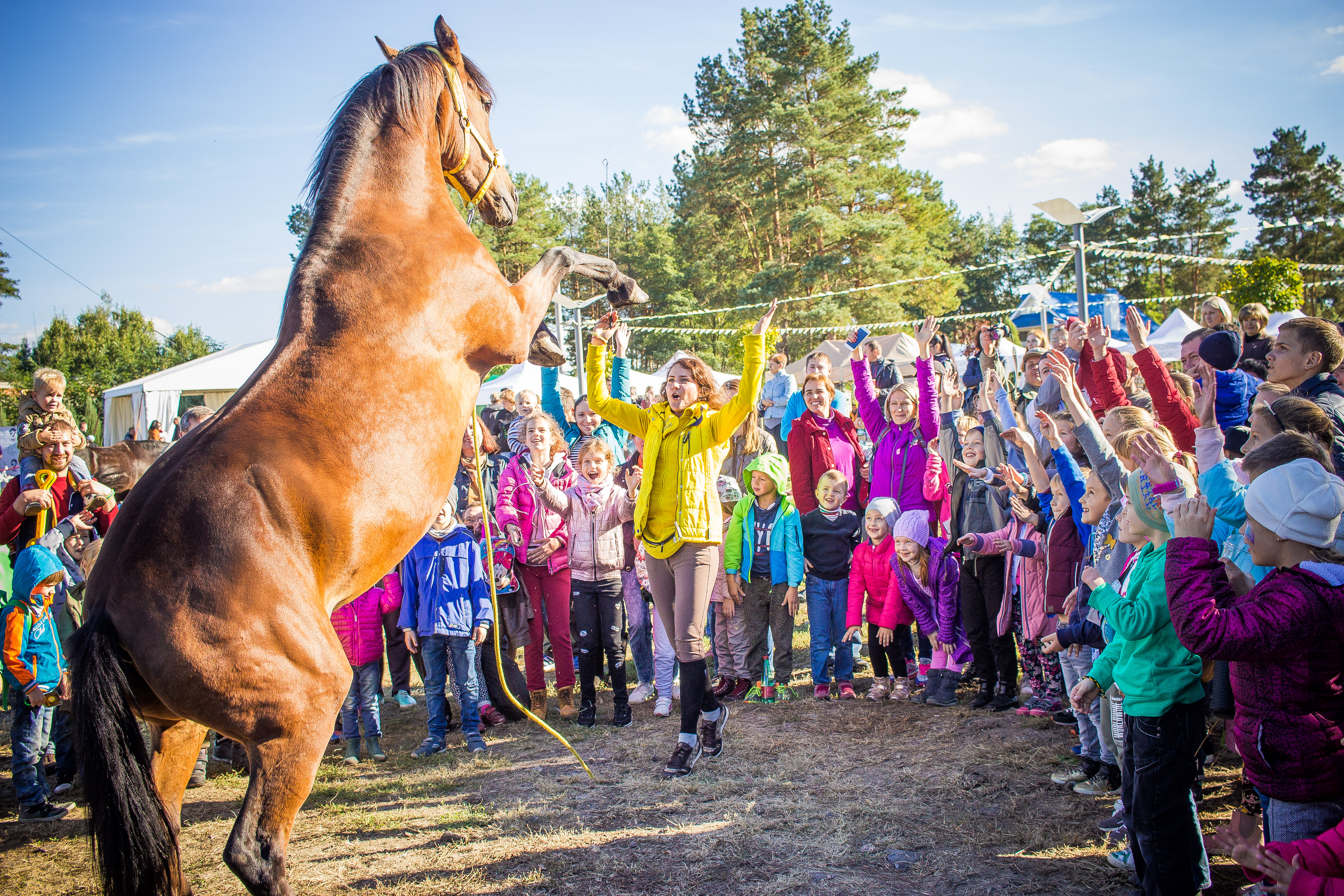 Кінне шоу від Liberty Horse
